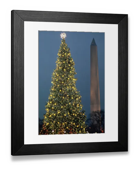 Framed Print : National Christmas Tree in Washington, DC Framed Print : National Christmas Tree in Washington, DC