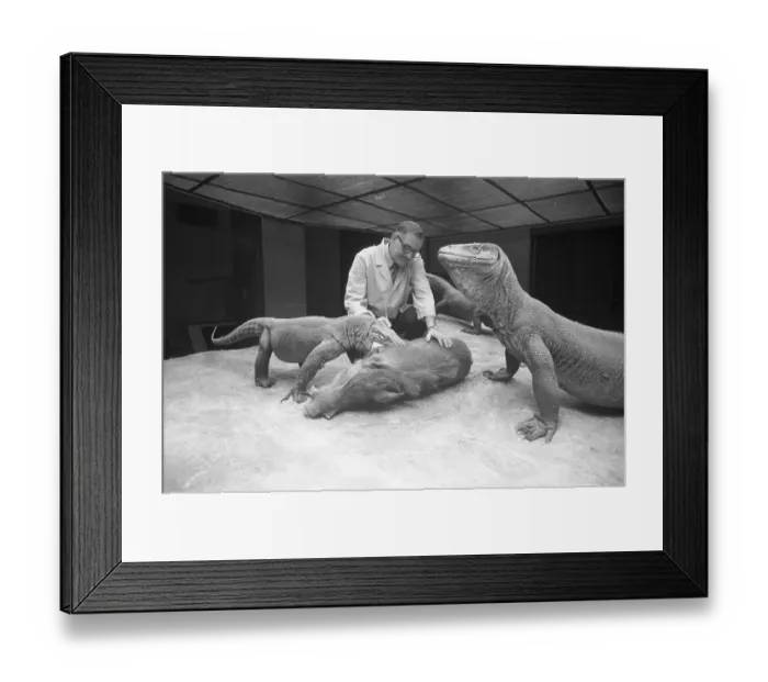 Framed Print : Shades of One Million B.C Framed Print : Shades of One Million B.C