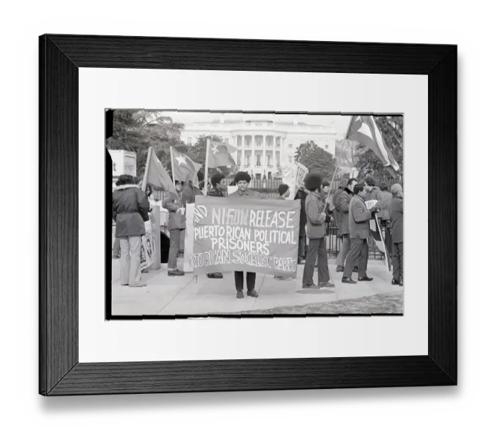 Framed Print : Puerto Ricans Demonstrate at White House Framed Print : Puerto Ricans Demonstrate at White House