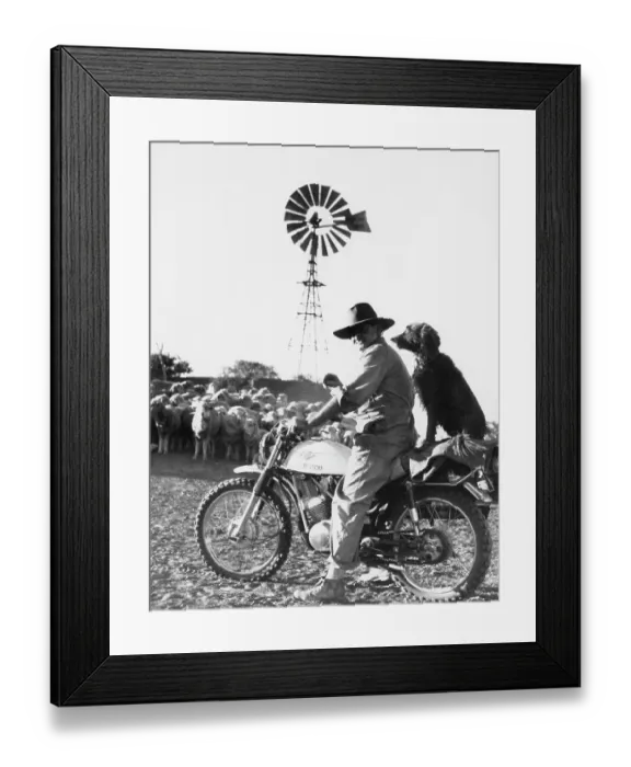 Framed Print : Motocross Dog Framed Print : Motocross Dog