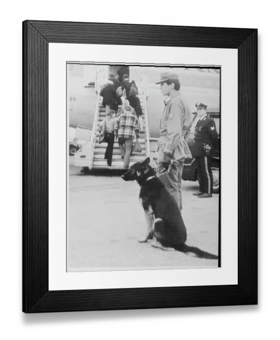 Framed Print : On the Alert Framed Print : On the Alert