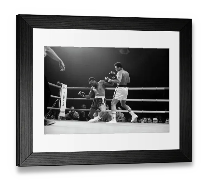 Framed Print : Bob Foster Falling During Bout with Muhammad Ali Framed Print : Bob Foster Falling During Bout with Muhammad Ali