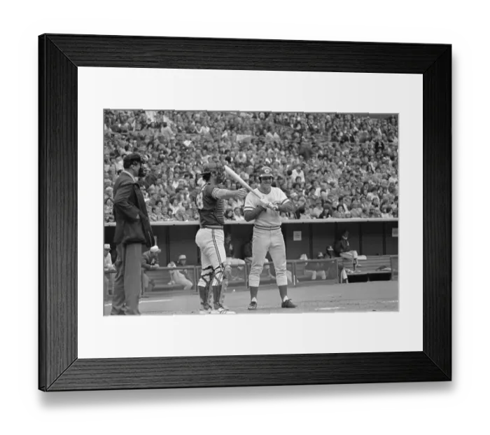 Framed Print : Pete Rose Being Striked Out Framed Print : Pete Rose Being Striked Out
