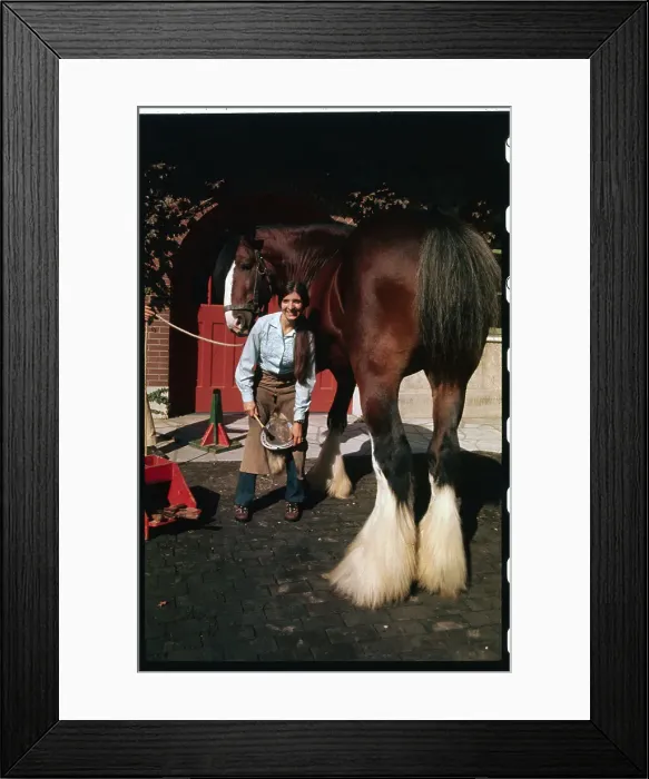 Framed Print : Ardell Russell Cox Shoes a Horse