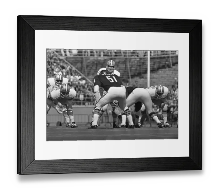 Framed Print : Dick Butkus Faces Quarterback in Game Framed Print : Dick Butkus Faces Quarterback in Game
