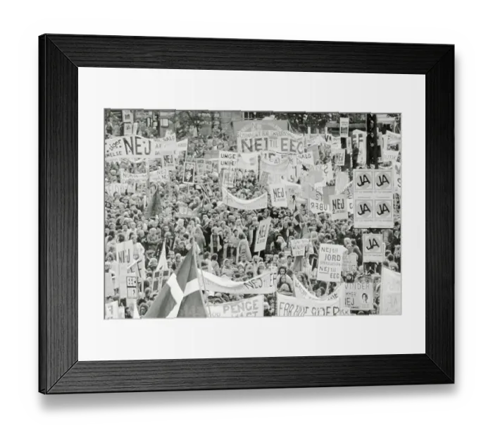 Framed Print : Crowd of Danes Carrying Signs in Protest Framed Print : Crowd of Danes Carrying Signs in Protest