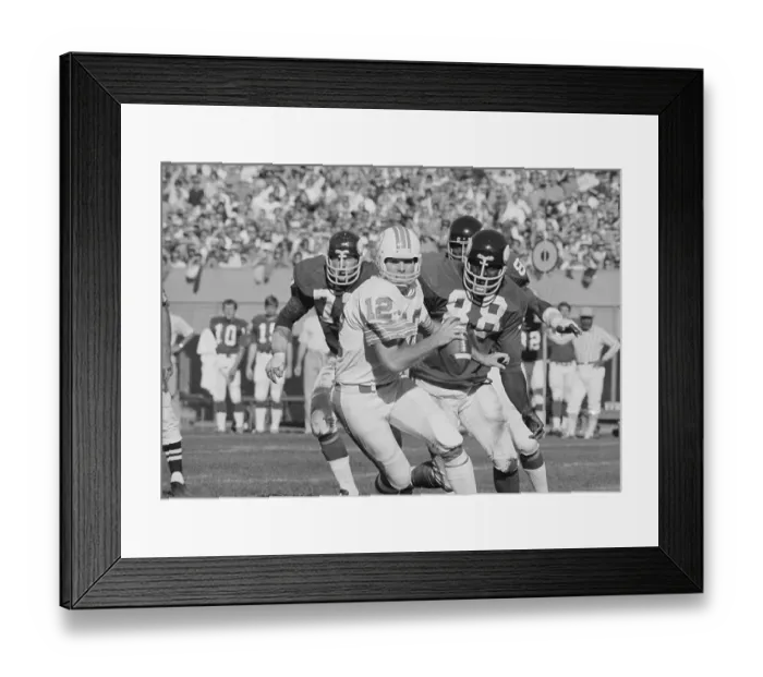 Framed Print : Alan Page, Gary Larsen, and Carl Eller Surrounding Bob Griese Framed Print : Alan Page, Gary Larsen, and Carl Eller Surrounding Bob Griese
