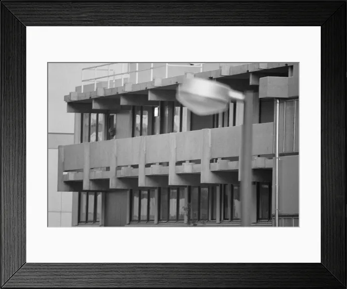 Framed Print : Arab Extremist Peering Out Window Framed Print : Arab Extremist Peering Out Window