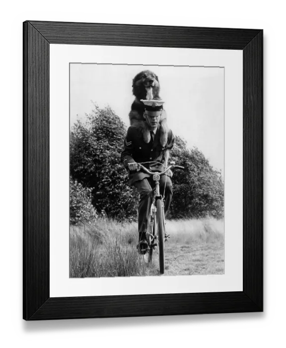 Framed Print : Neil Durant Riding with Dog on His Back Framed Print : Neil Durant Riding with Dog on His Back