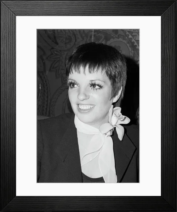 Framed Print : Portrait of Liza Minnelli Framed Print : Portrait of Liza Minnelli