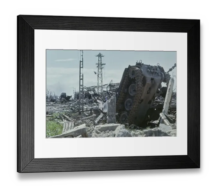 Framed Print : No Man's Land, Quang Tri Province, Vietnam War Framed Print : No Man's Land, Quang Tri Province, Vietnam War