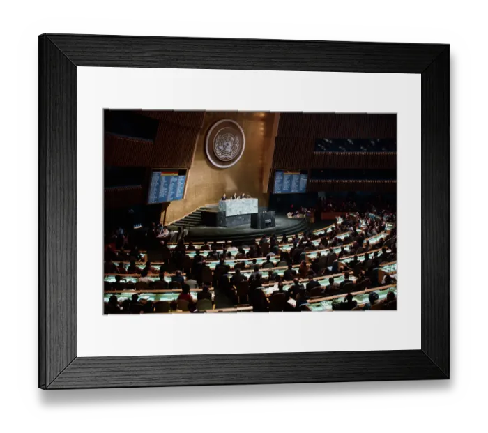 Framed Print : United Nations General Assembly Framed Print : United Nations General Assembly