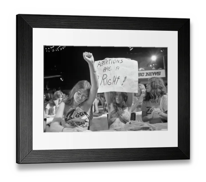 Framed Print : The Fight for Women's Reproductive Rights Framed Print : The Fight for Women's Reproductive Rights