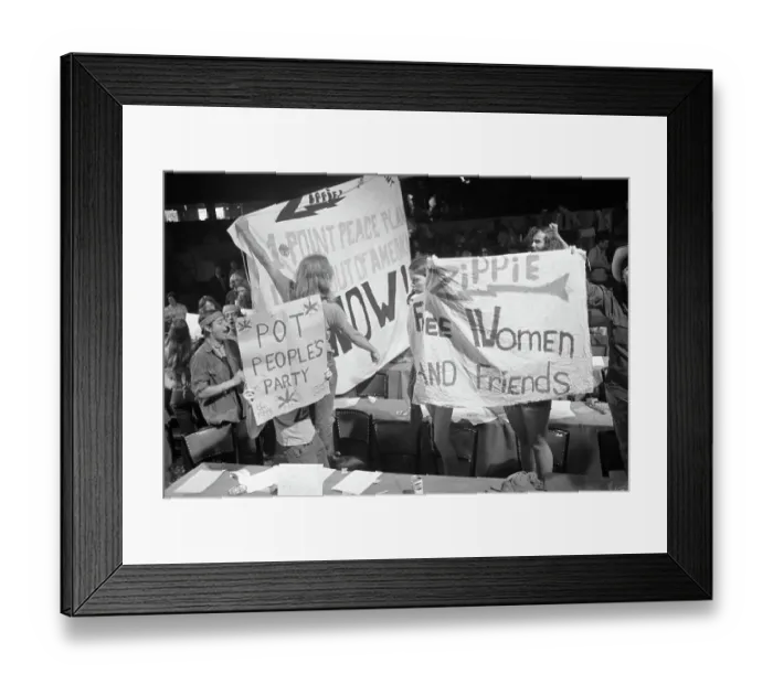 Framed Print : The Fight for Women's Reproductive Rights Framed Print : The Fight for Women's Reproductive Rights