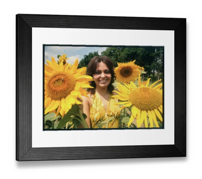 Framed Print : Diane Watson Among Sunflowers Framed Print : Diane Watson Among Sunflowers
