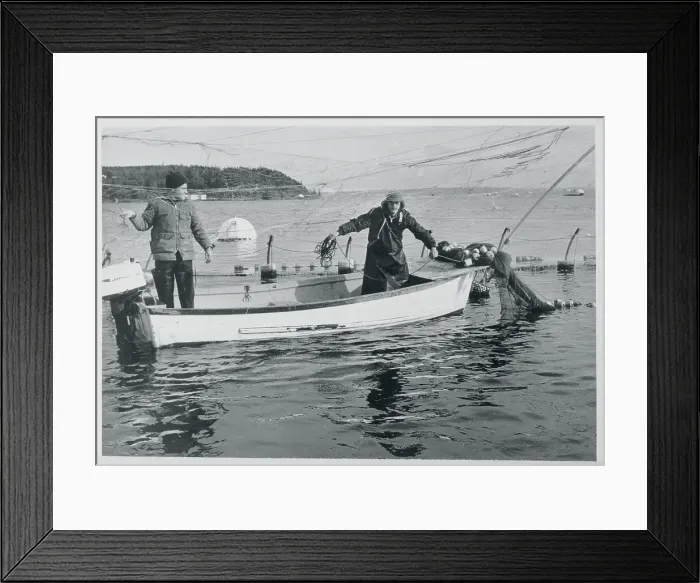 Framed Print : Jon Lindbergh Fishing Framed Print : Jon Lindbergh Fishing