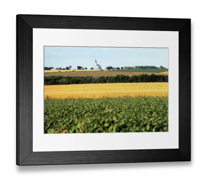 Framed Print : Cornfield with Church in Background