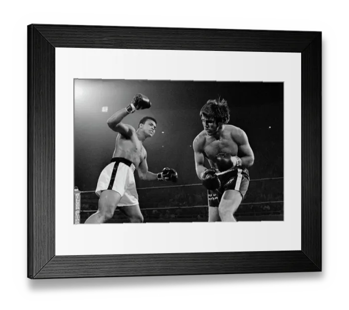 Framed Print : Muhammad Ali and Jerry Quarry During Bout