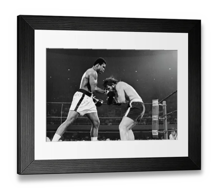 Framed Print : Muhammad Ali Punching Jerry Quarry Framed Print : Muhammad Ali Punching Jerry Quarry