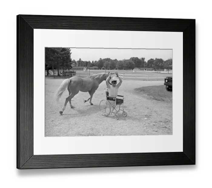 Framed Print : Amputee in Wheelchair Guiding Horse Framed Print : Amputee in Wheelchair Guiding Horse