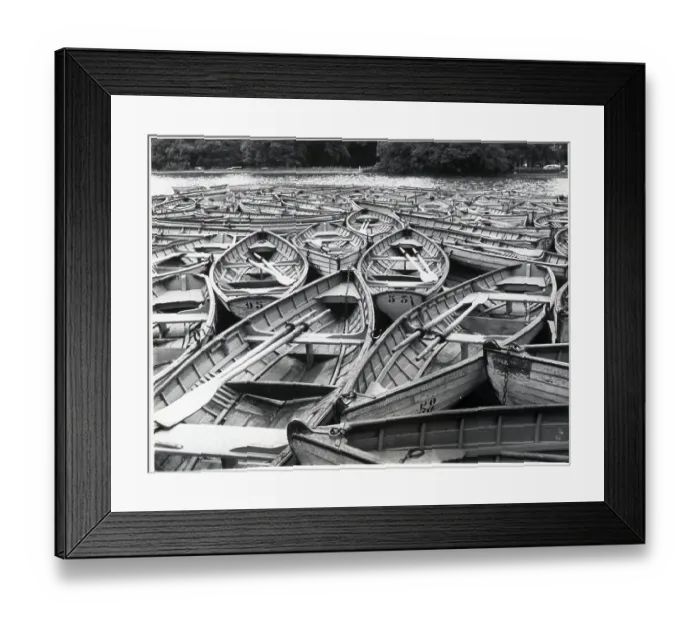 Framed Print : Rowboats In A Clump In Artificial Lake Framed Print : Rowboats In A Clump In Artificial Lake