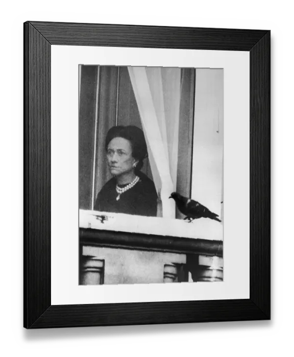 Framed Print : Pigeon Perching by Duchess of Windsor at Palace Framed Print : Pigeon Perching by Duchess of Windsor at Palace