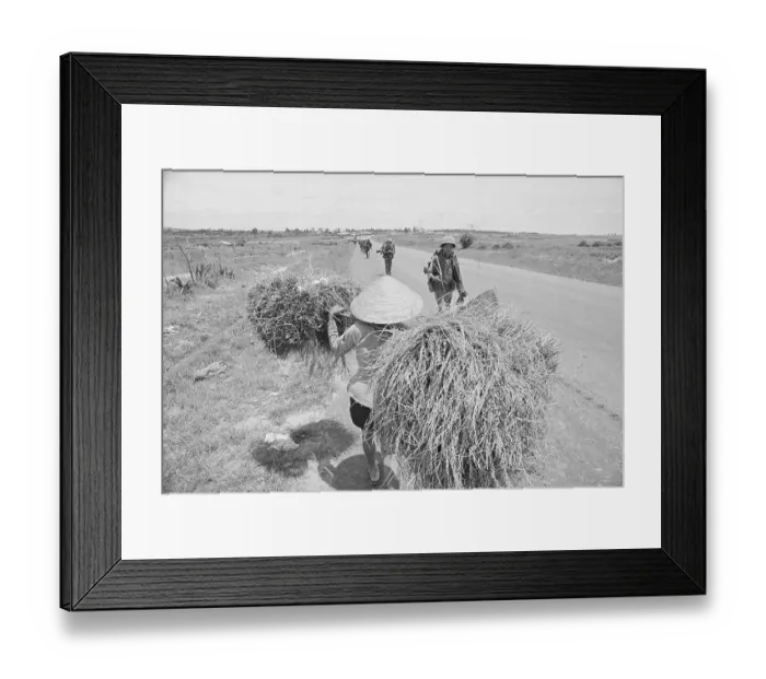 Framed Print : Vietnamese Woman Passing Soldiers Framed Print : Vietnamese Woman Passing Soldiers