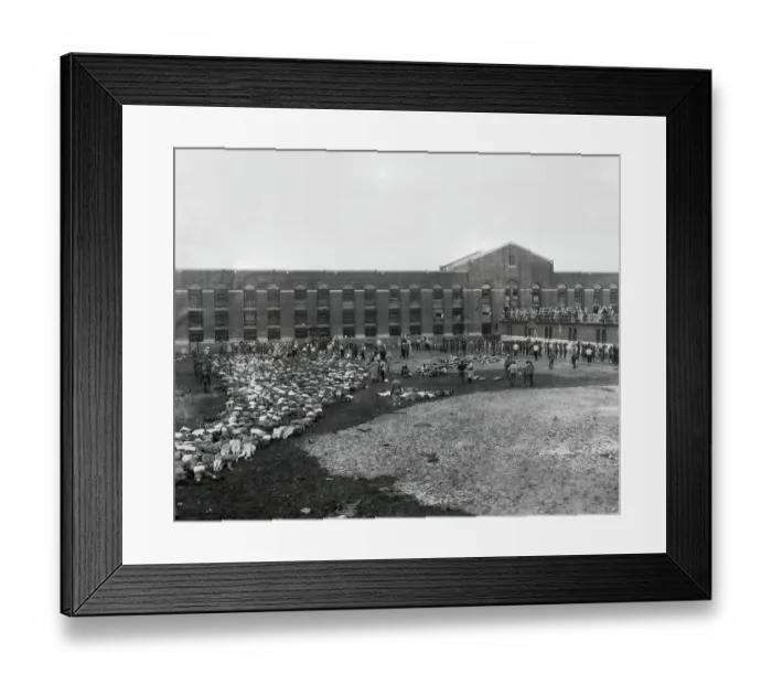 Framed Print : Inmates Lie on Line and Stand in Prison Yard Framed Print : Inmates Lie on Line and Stand in Prison Yard