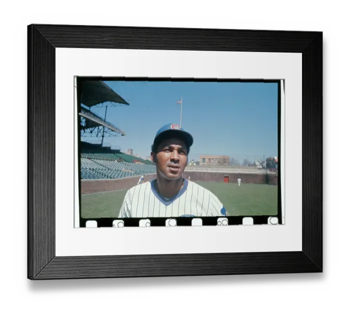 Framed Print : Chicago Cubs Outfielder Billy Williams at Wrigley Field Framed Print : Chicago Cubs Outfielder Billy Williams at Wrigley Field