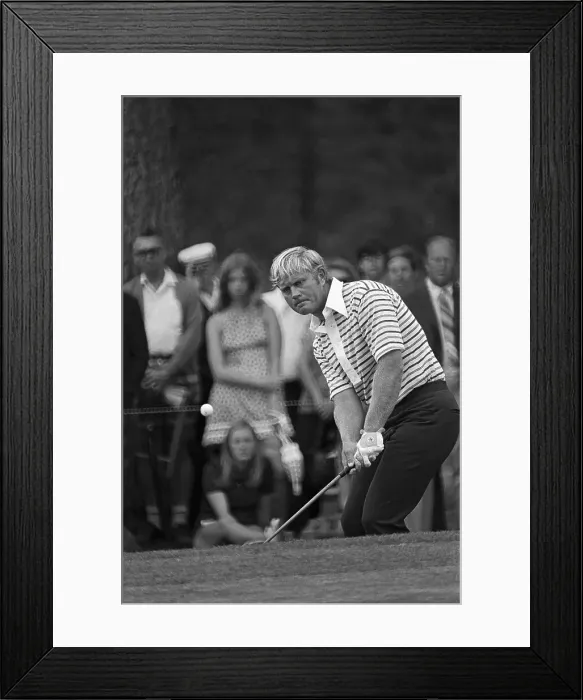 Framed Print : Jack Nicklaus Chipping Golf Ball Framed Print : Jack Nicklaus Chipping Golf Ball