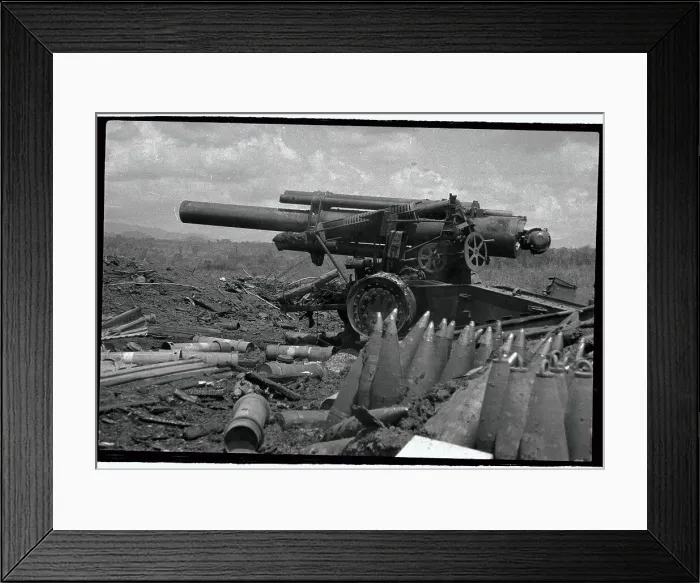 Framed Print : Canons Sitting in Field Framed Print : Canons Sitting in Field