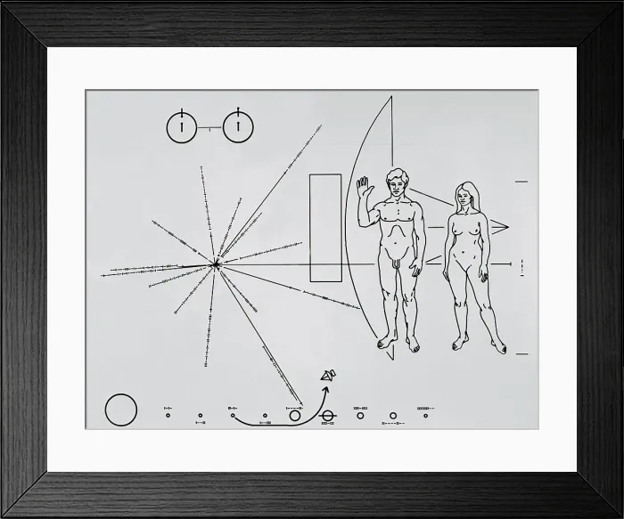 Framed Print : Pictorial Plaque Carried into Space Framed Print : Pictorial Plaque Carried into Space
