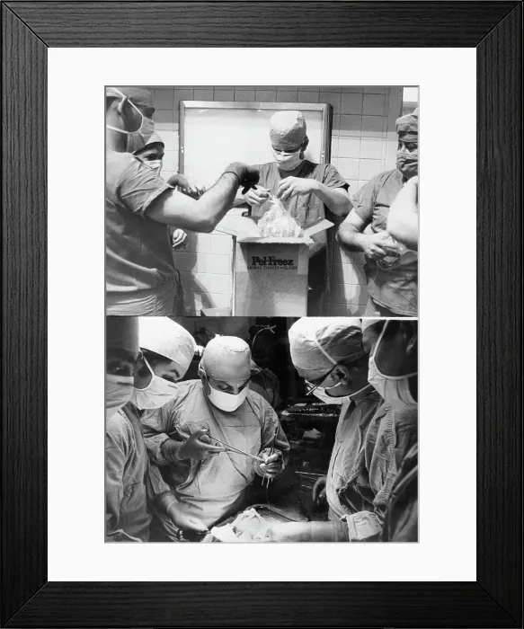 Framed Print : Kidney Transplant Framed Print : Kidney Transplant