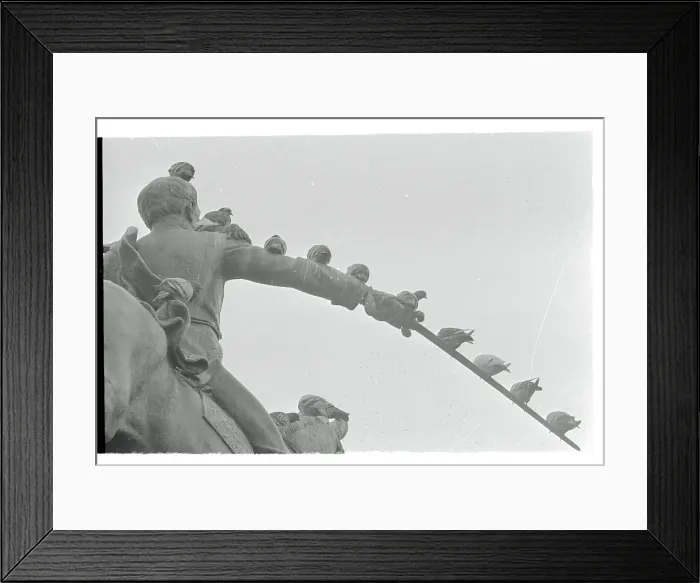 Framed Print : Pigeons atop Statue Framed Print : Pigeons atop Statue