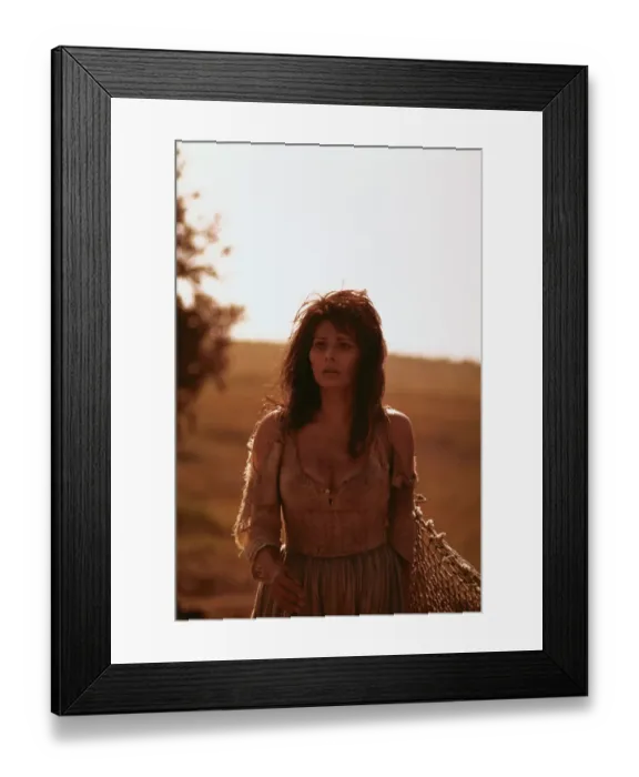 Framed Print : Portrait of Sophia Loren Framed Print : Portrait of Sophia Loren