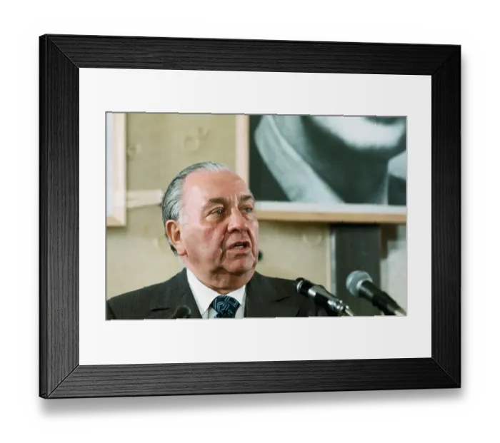 Framed Print : Portrait of Chicago Mayor Richard Daley Framed Print : Portrait of Chicago Mayor Richard Daley