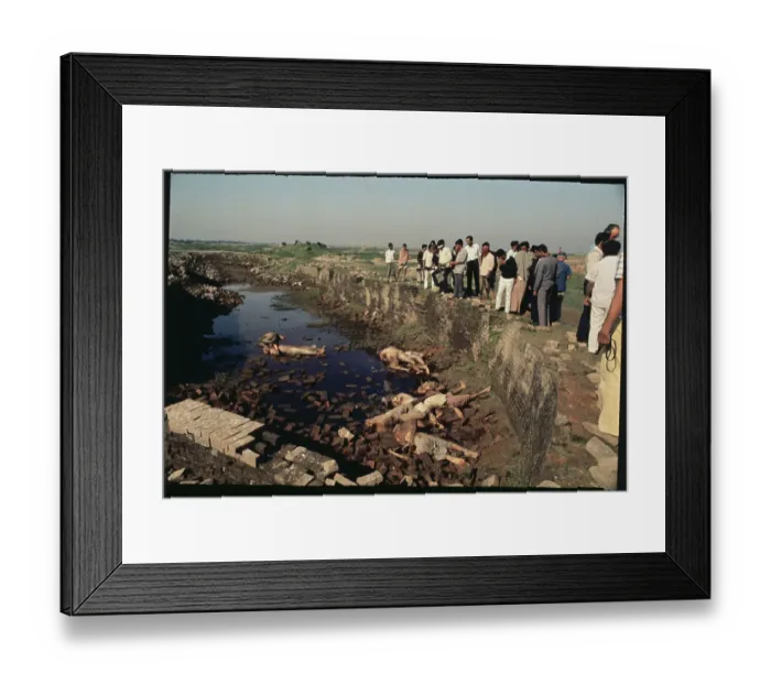 Framed Print : Crowd Gazing into Muddy Basin with Strewn Bodies Framed Print : Crowd Gazing into Muddy Basin with Strewn Bodies