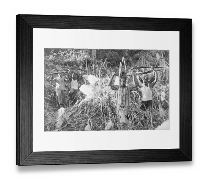 Framed Print : Pakistani Rebels Giving up Their Weapons in Field Framed Print : Pakistani Rebels Giving up Their Weapons in Field