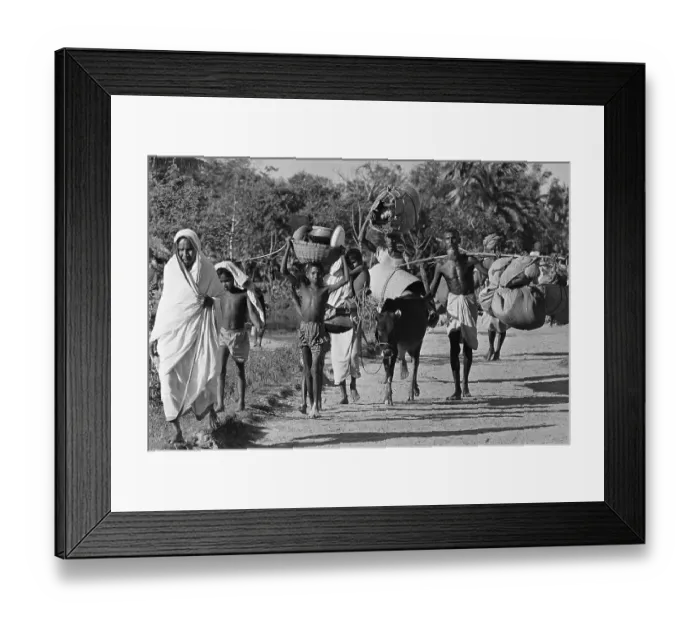 Framed Print : East Pakistanis Fleeing to Indian Border Framed Print : East Pakistanis Fleeing to Indian Border