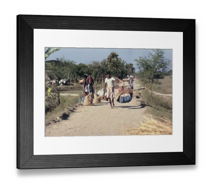Framed Print : Bangladesh Liberation War, 1971 Framed Print : Bangladesh Liberation War, 1971