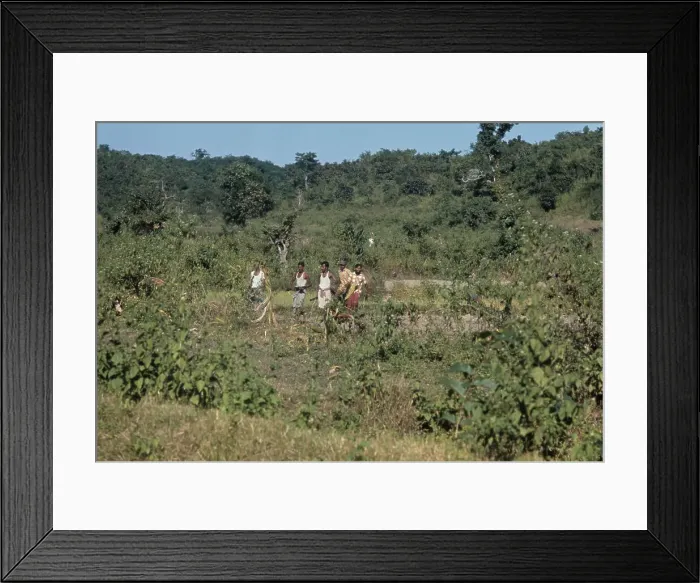 Framed Print : Bangladeshi National Liberation Army, 1971