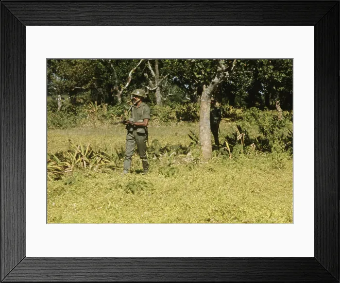 Framed Print : Bangladesh Liberation War, 1971 Framed Print : Bangladesh Liberation War, 1971