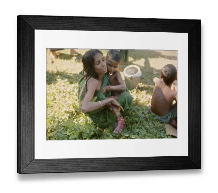 Framed Print : Bangladesh Liberation War, 1971 Framed Print : Bangladesh Liberation War, 1971