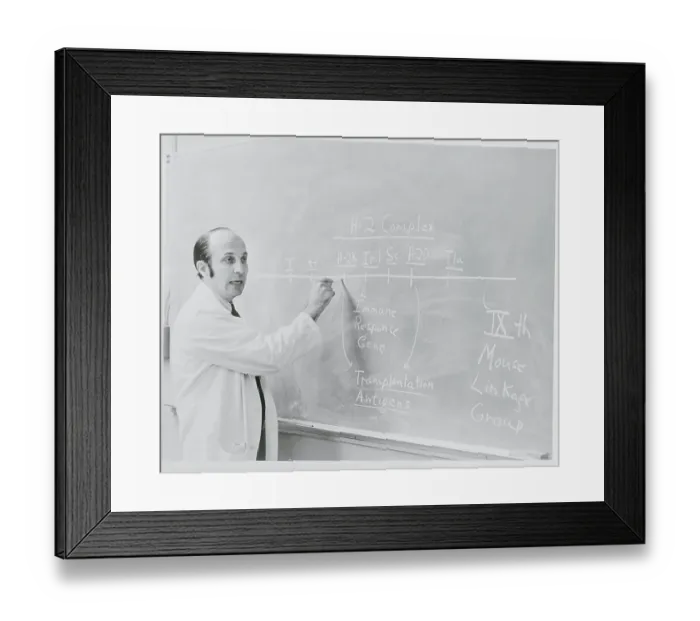 Framed Print : Stanford Professor Explaining Immune Response Genes