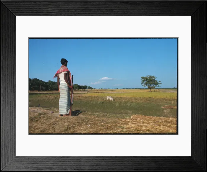 Framed Print : Pakistani Farmer Gazing over Field Framed Print : Pakistani Farmer Gazing over Field