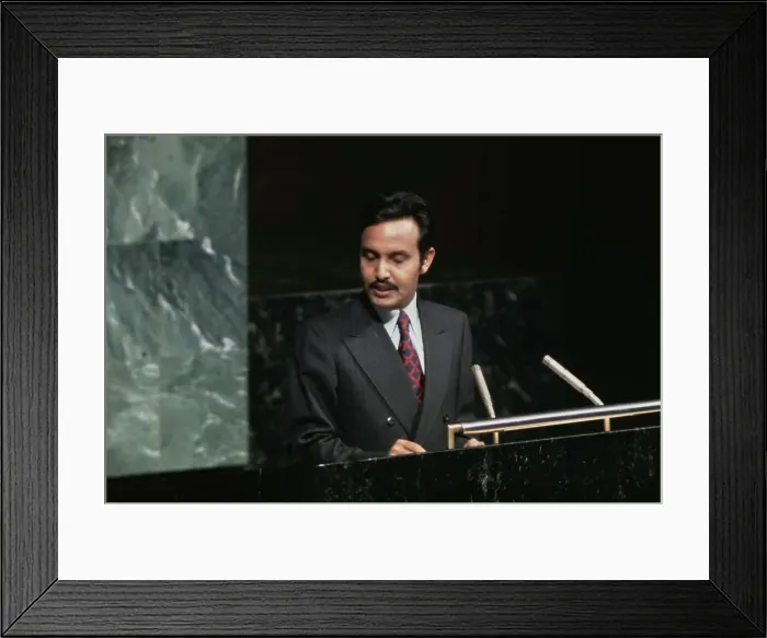 Framed Print : United Nations General Assembly, 1971 Framed Print : United Nations General Assembly, 1971