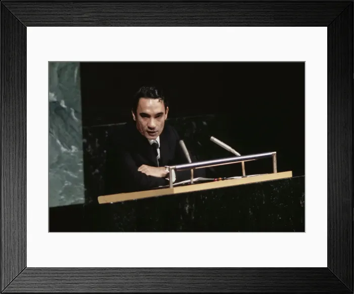 Framed Print : United Nations General Assembly, 1971 Framed Print : United Nations General Assembly, 1971