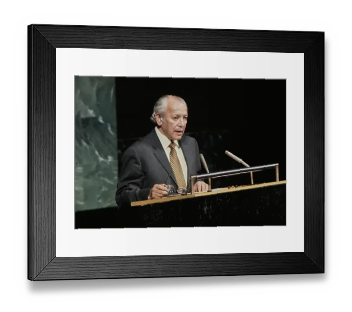 Framed Print : United Nations General Assembly, 1971 Framed Print : United Nations General Assembly, 1971