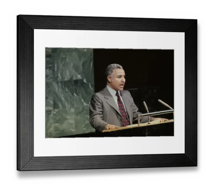 Framed Print : United Nations General Assembly, 1971 Framed Print : United Nations General Assembly, 1971