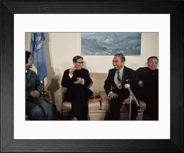 Framed Print : Downtime At The United Nations Framed Print : Downtime At The United Nations